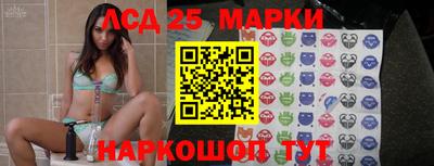 spice Новодвинск
