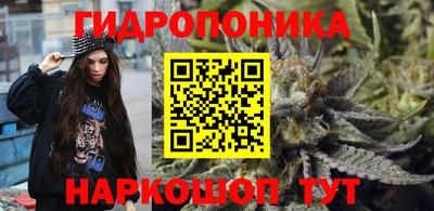 spice Новодвинск